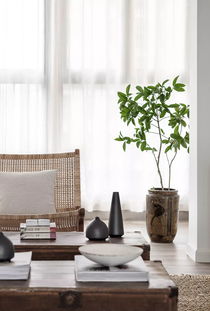 2萬預算，100㎡空房變陽光度假風家具全攻略